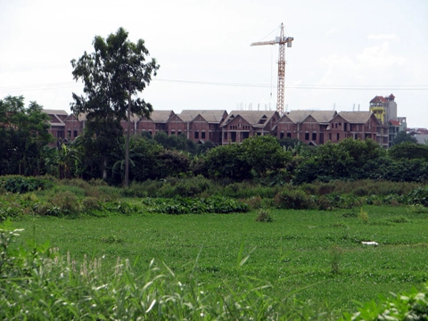 Ảnh: Hoàng Lan