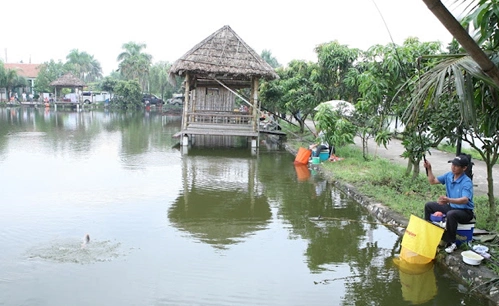 sinh-thai-499-6053-1384334310.jpg