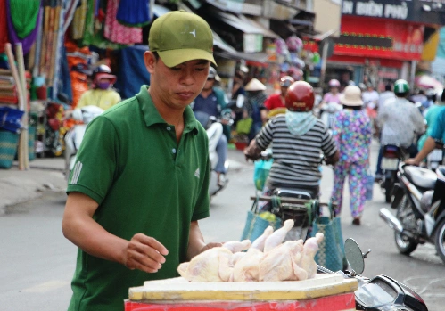 Mỗi con gà mái đẻ có giá 70.000 đồng một con. Ảnh: Hồng Châu.