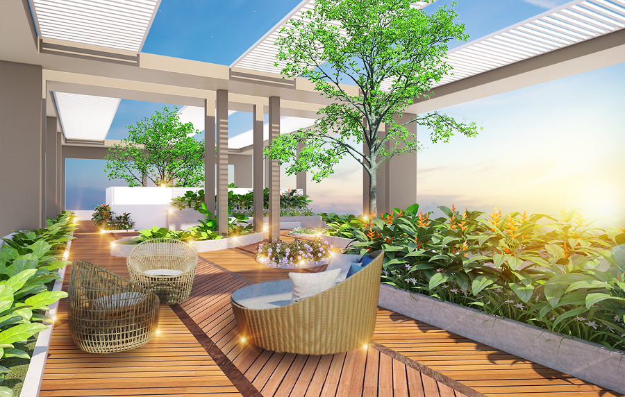 San-Vuon-tang-25-M7B-7024-1593761219.png