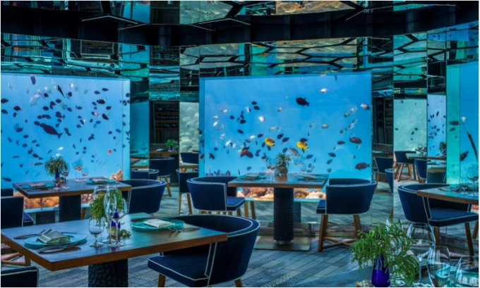 SEA Underwater Restaurant in Maldives. Photo: Anantara Kihavah Villas Maldives.