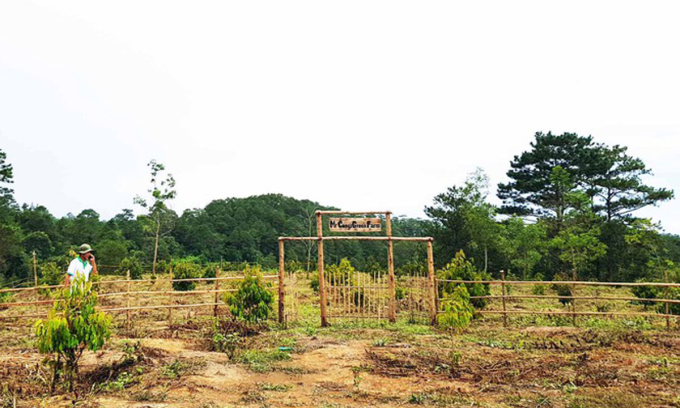 Một farmstay tại Đà Lạt. Ảnh: Tiền Phong