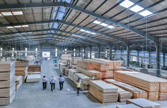 Nhà máy sản xuất gỗ của Tập đoàn Trần Đức Homes. Ảnh: Trần Đức Homes