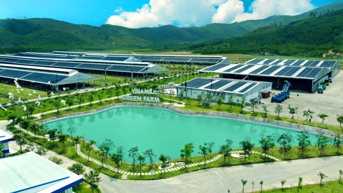 Trang trại sinh thái Green farm của Vinamilk. Ảnh: Vinamilk