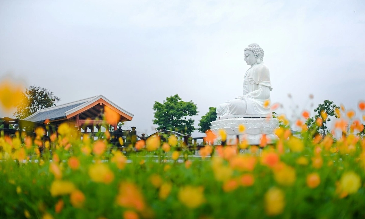 Cảm hứng vườn thiền Nhật Bản tại Sala Garden