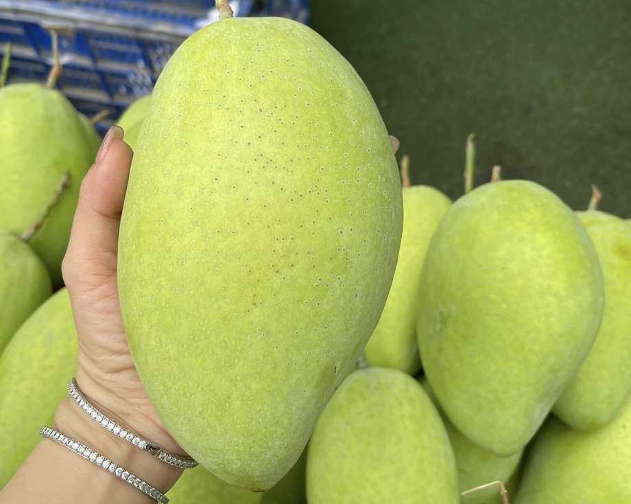 Giá Xoài Cát Hòa Lộc Loại 1 Hôm Nay: Cập Nhật Mới Nhất Và Lợi Ích Cho Sức Khỏe