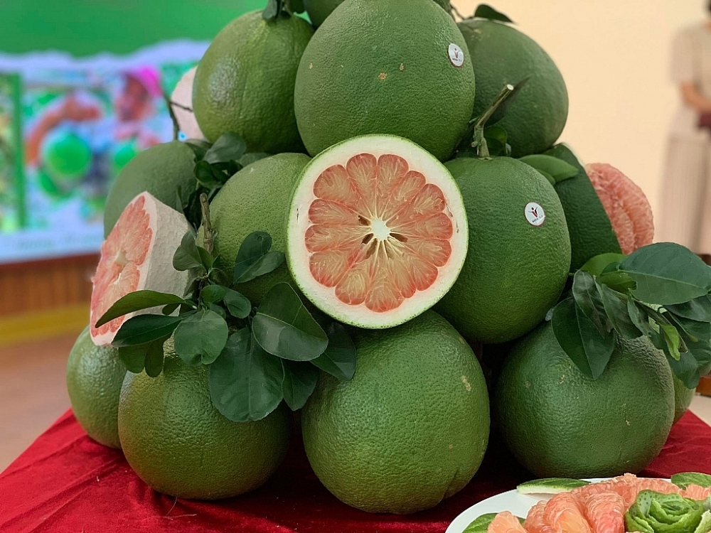 Xuất khẩu bưởi sang New Zealand