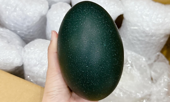 Trứng đà điểu xanh được vận chuyển bằng đường hàng không và bán tại TP HCM. Ảnh: Thanh Trúc