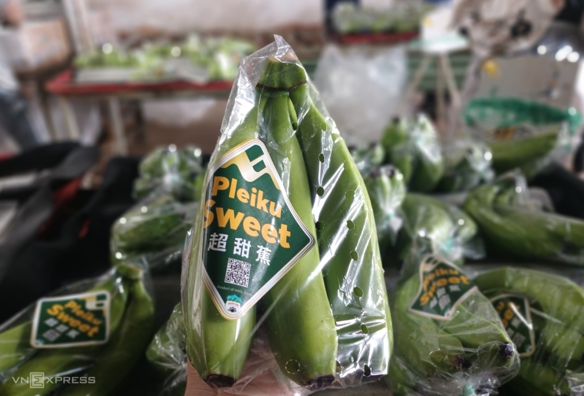 Chuối Việt chiếm thị phần áp đảo ở Trung Quốc