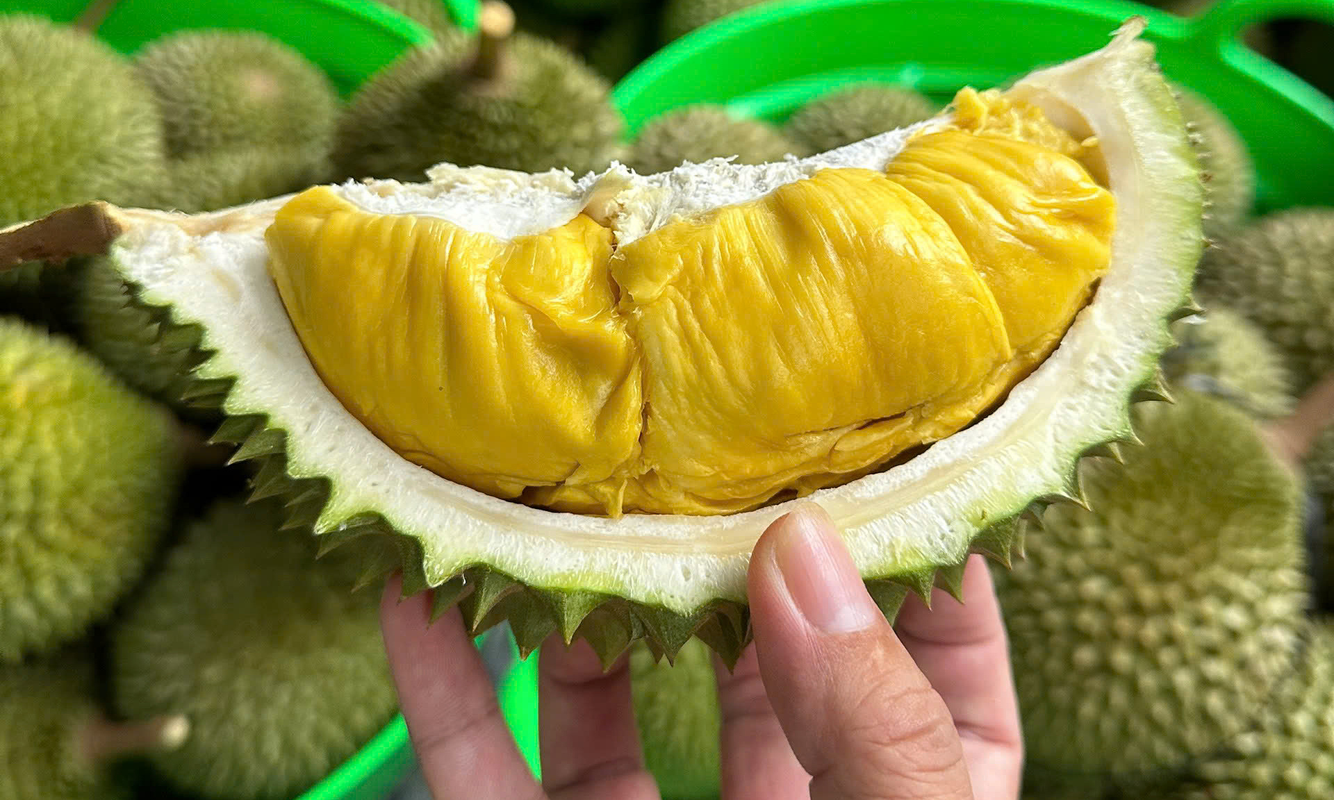 VẬN CHUYỂN SẦU RIÊNG TỪ VIỆT NAM ĐI TRUNG QUỐC