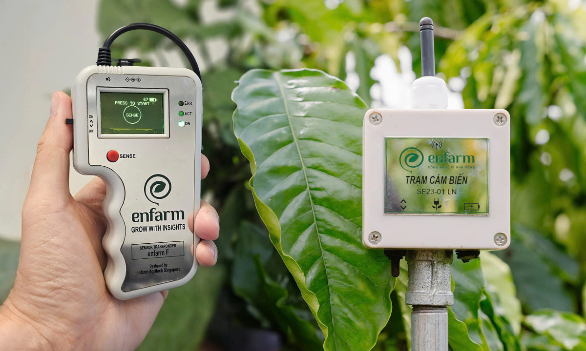 Enfarm - ứng dụng AI, IoT đo dinh dưỡng nguồn đất