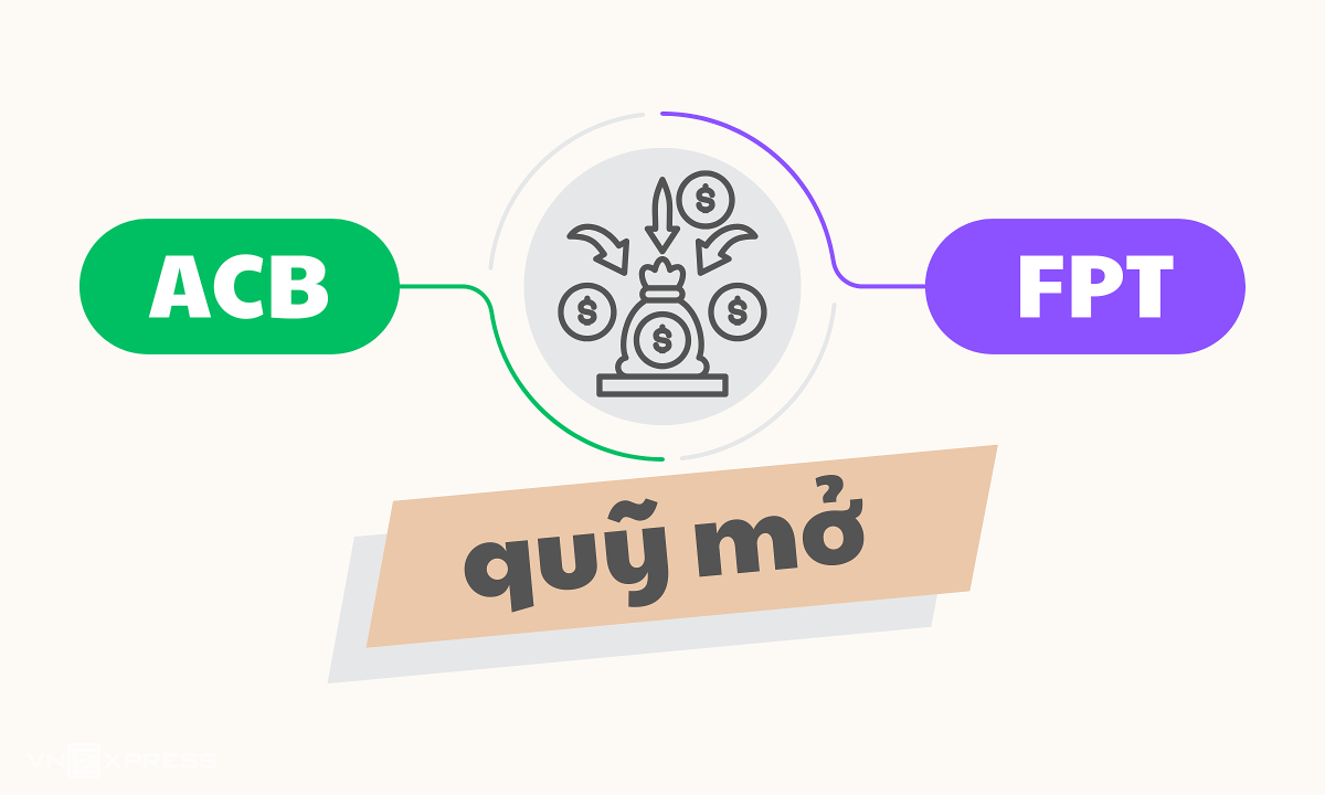 Các quỹ mở thắng lớn nhờ đầu tư cổ phiếu nào?