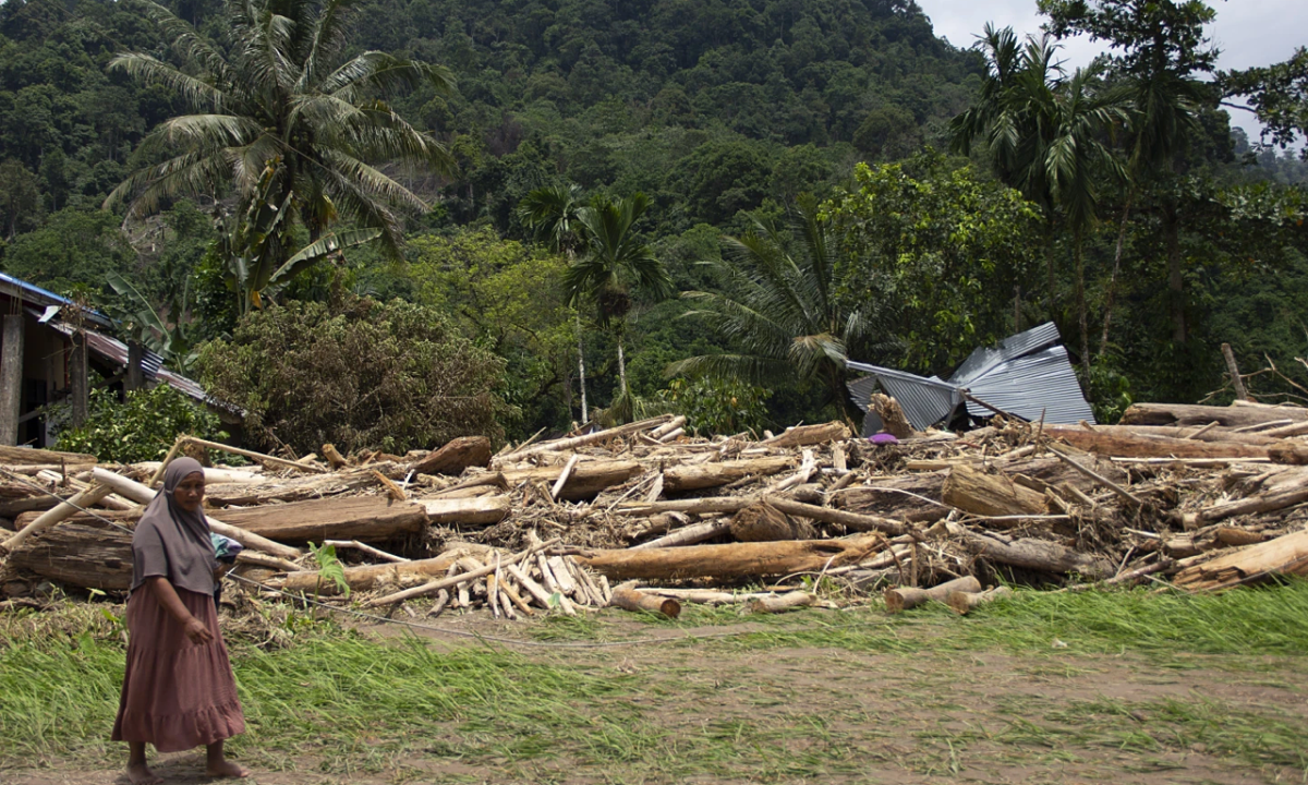 Indonesia sắp đưa tín chỉ carbon rừng lên sàn giao dịch