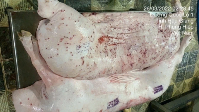 Thân thịt heo xuất hiệm nhiều nốt viêm ngày 26/3/2022. Ảnh: Facebook Joony Lieu