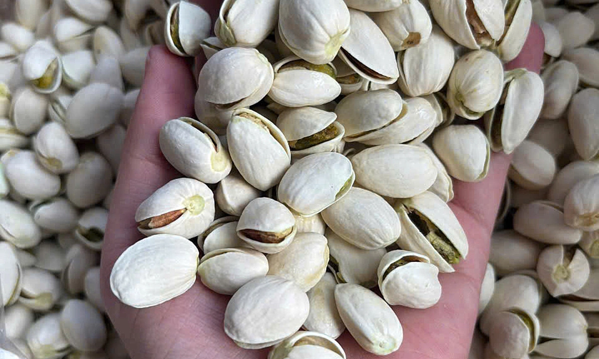 Gửi Hạt Dẻ Cười Từ Tây Nguyên Đến Nghệ An An Toàn, Nhanh Chóng – Hue Logistics Gửi Hạt Dẻ Cười Từ Tây Nguyên Đến Nghệ An An Toàn, Nhanh Chóng – Hue Logistics