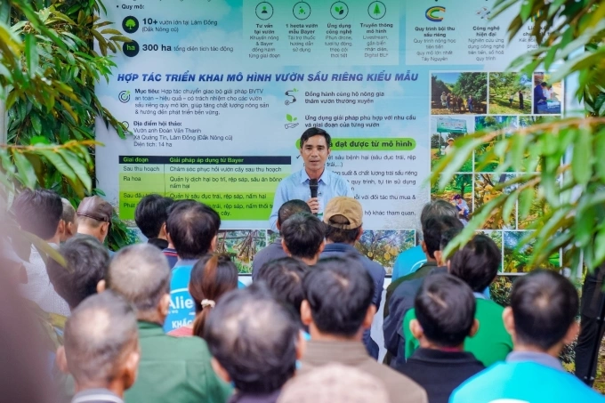 Sự kiện thu hút hơn 150 nông dân trồng sầu riêng có diện tích lớn trong tỉnh Lâm Đồng tham dự. Ảnh: Minh Minh