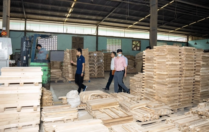 Bên trong nhà xưởng của công ty Đại Thành, một trong những doanh nghiệp đồ gỗ lớn ở Bình Định. Ảnh: Trọng Trí