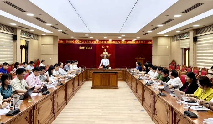 Các đại biểu tham dự cuộc họp. Ảnh: UBND tỉnh Gia Lai