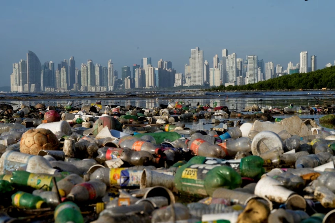 Nhựa gây ô nhiễm khu vực rừng ngập mặn tại Vịnh Panama, Panama ngày 6/12/2024. Ảnh: Reuters