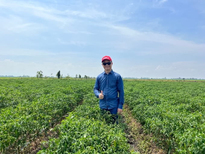 Nhà sáng lập Chilica - ông Nguyễn Thanh Hiền tại ruộng ớt Đồng Tháp. Ảnh: NVCC