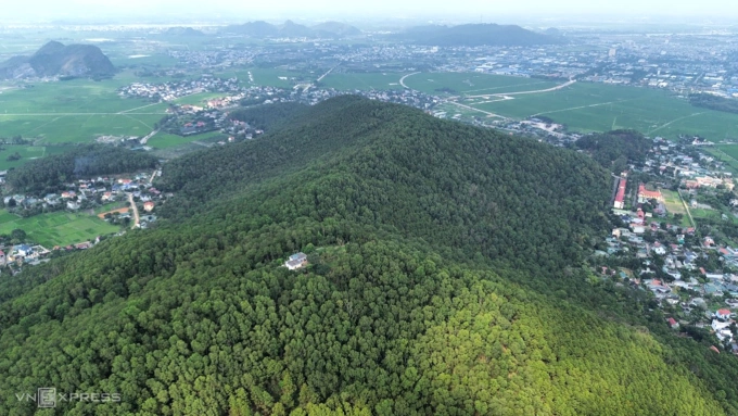 Rừng thông tại Thanh Hóa, tháng 3/2024. Ảnh: Lê Hoàng