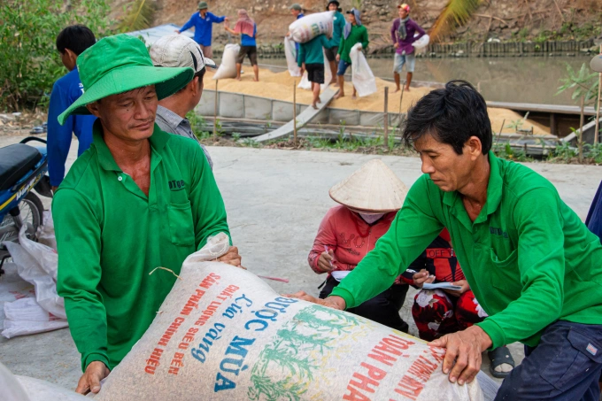 Nông dân xã Thạnh An, huyện Vĩnh Thạnh, TP Cần Thơ thu hoạch lúa. Ảnh: Thanh Trần