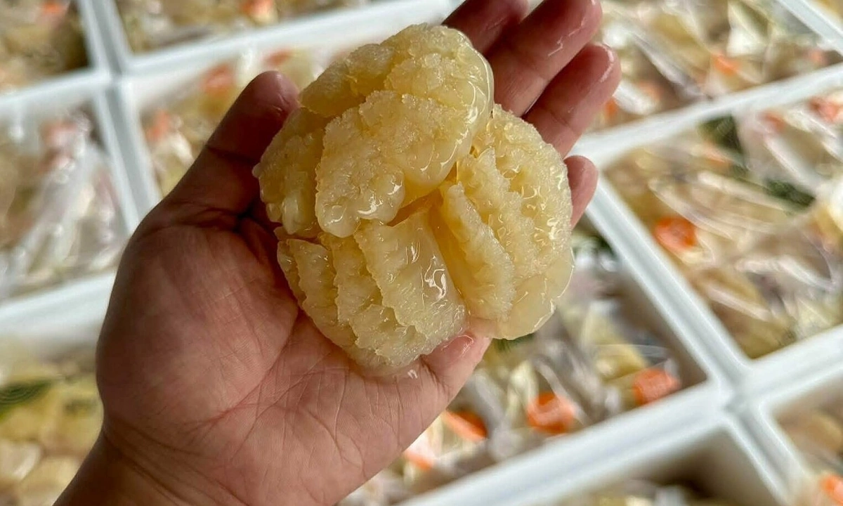 Sứa đạn Thái Lan giá gần một triệu đồng mỗi kg