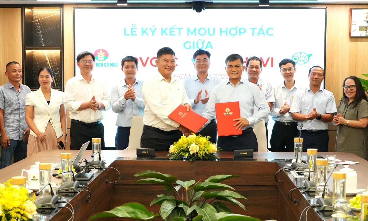 PVCFC hợp tác Chavi phát triển chuỗi giá trị nông nghiệp