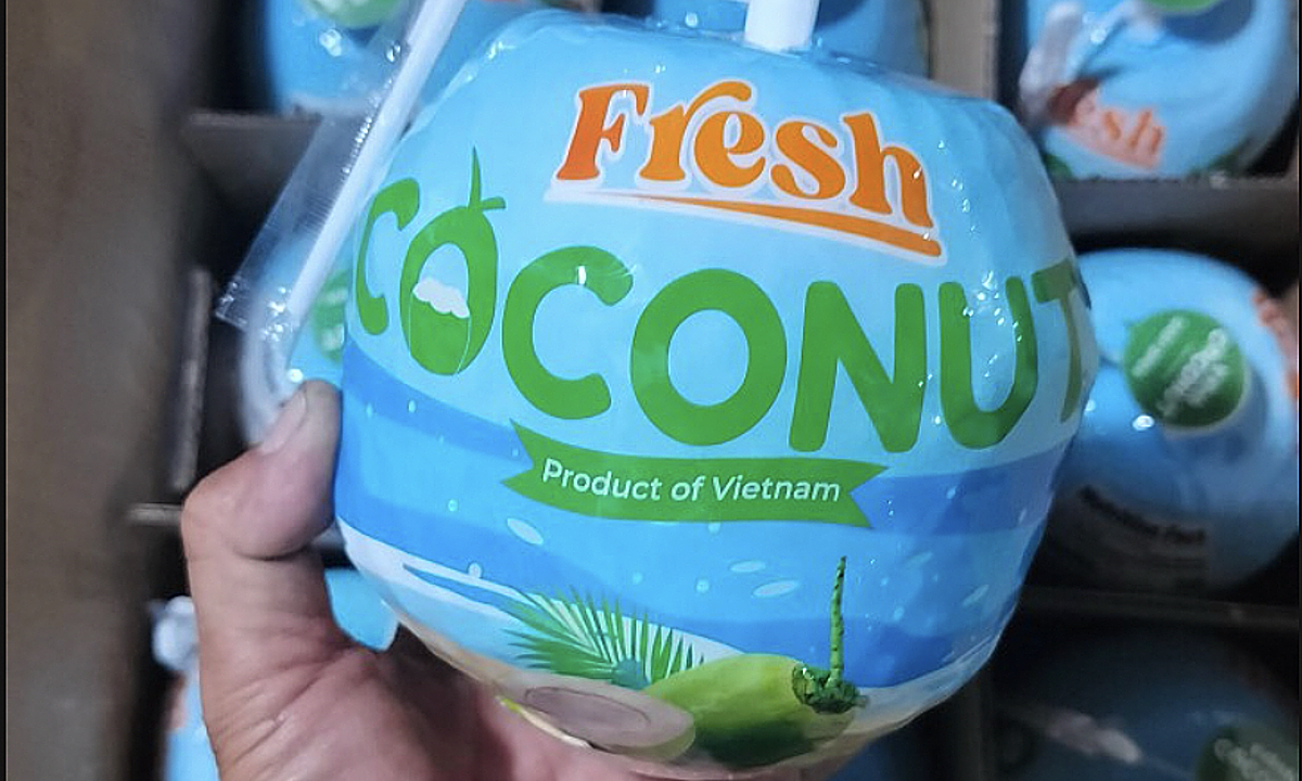 Mỹ vượt Trung Quốc thành thị trường nhập dừa lớn nhất của Việt Nam