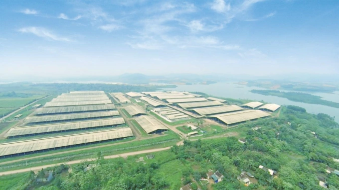 Cụm trang trại chăn nuôi bò sữa tập trung ứng dụng công nghệ cao với quy trình sản xuất khép kín của TH đã xác lập kỷ lục lớn nhất thế giới (năm 2020).