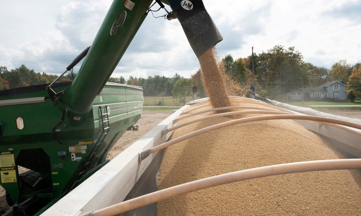 Trung Quốc mua lại đậu nành Mỹ sau nhiều tháng