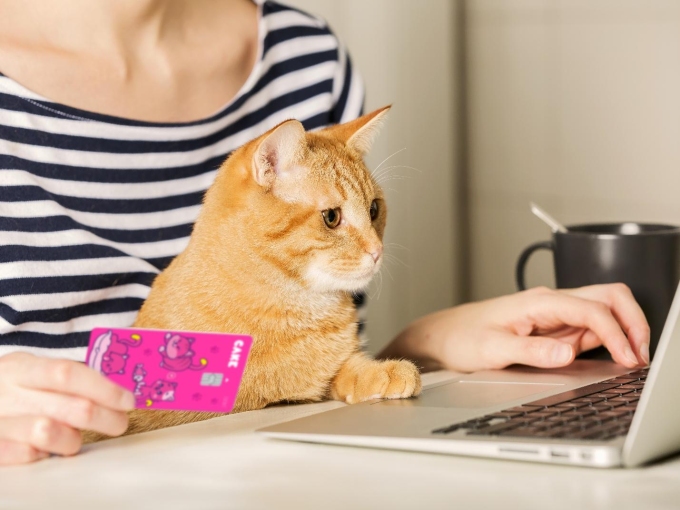 Khách hàng dùng tính năng Click to Pay để thanh toán. Ảnh: Cake