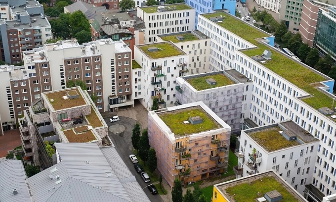 Mái xanh trên các tòa nhà ở Đức. Ảnh: OECD