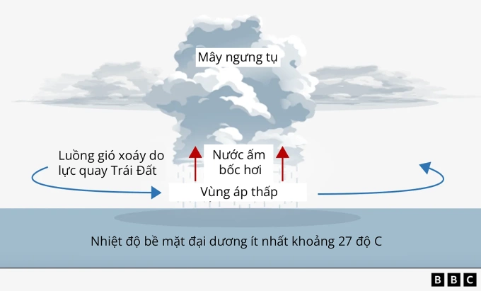 Cách áp thấp nhiệt đới và bão hình thành. Nguồn: BBC