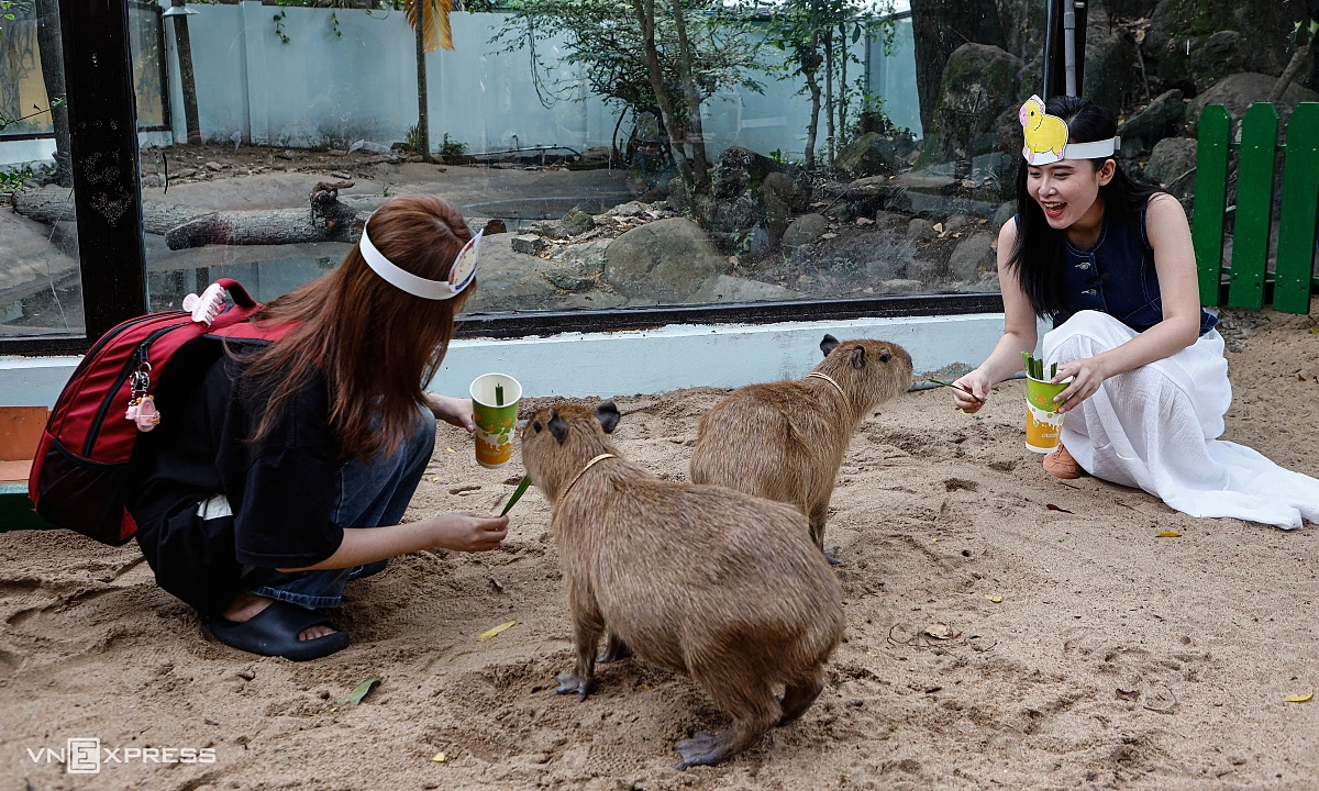 Thảo Cầm Viên lãi liên tiếp 5 năm