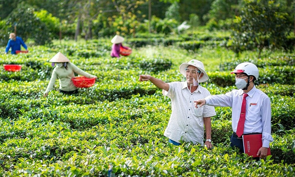 Chiến lược tài chính xanh của Agribank