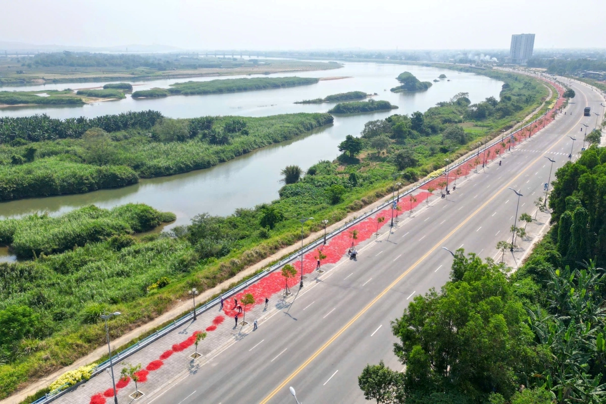 Giá ớt giảm hơn chục lần