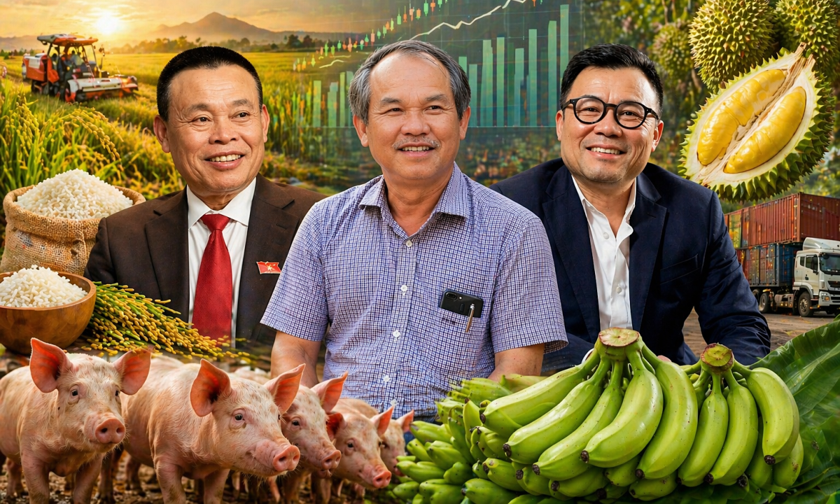 Thu nhập lãnh đạo doanh nghiệp nông nghiệp tăng mạnh