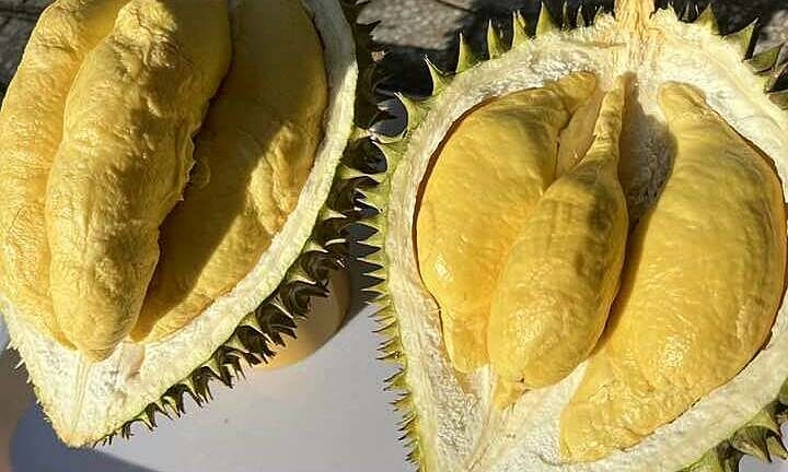 Thai Durian Floods Regional Markets: Implications for Investors and Exporters