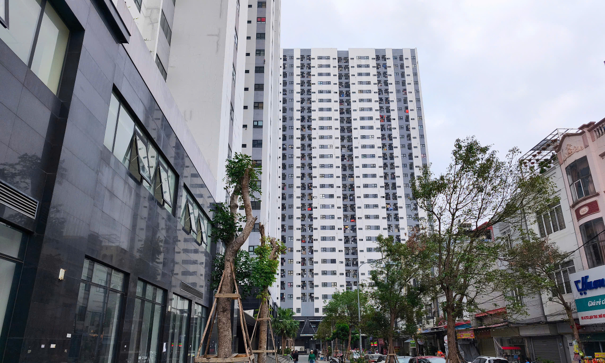 Hải Phòng dự kiến nâng ngưỡng thu nhập được mua nhà xã hội