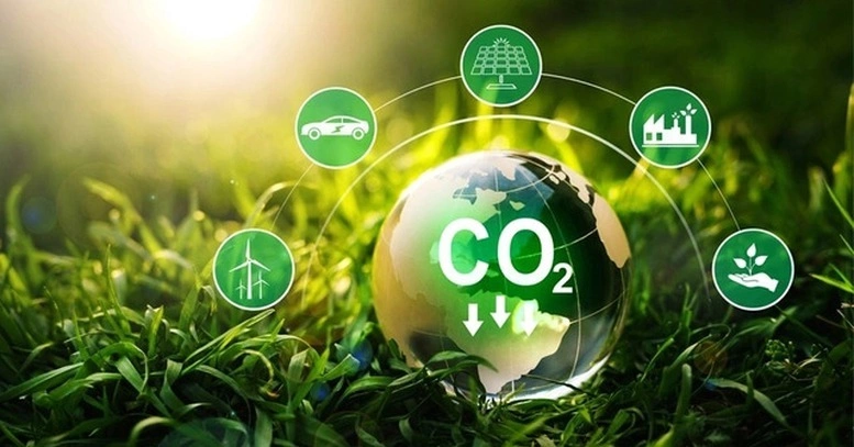 Bán tín chỉ carbon rừng qua hợp đồng, sàn giao dịch