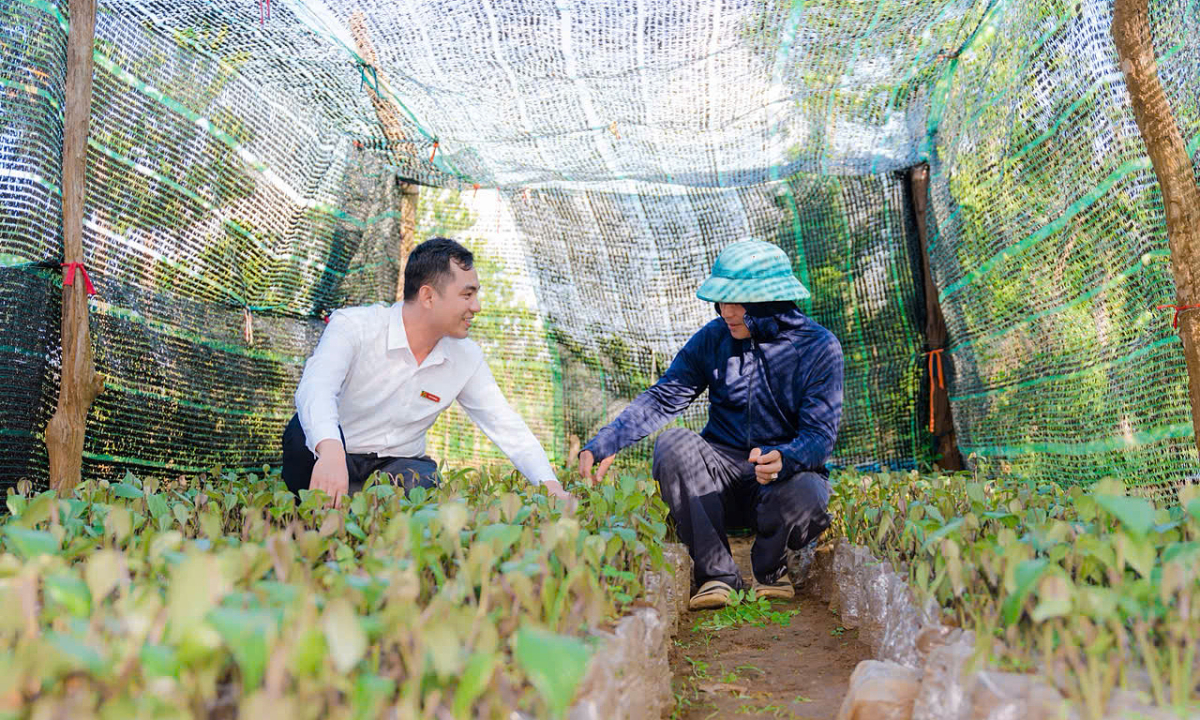 Agribank triển khai gói tín dụng xanh 3.000 tỷ đồng cho khách hàng cá nhân