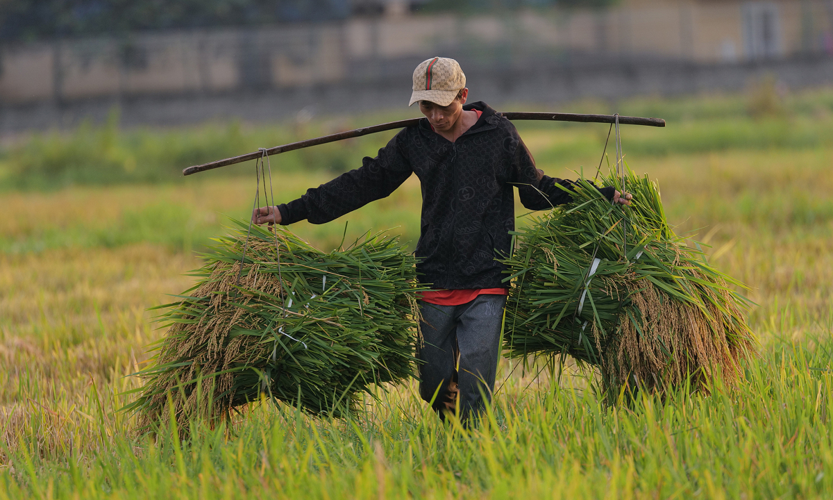 Sẽ đào tạo kỹ năng số cho hơn 7,2 triệu nông dân