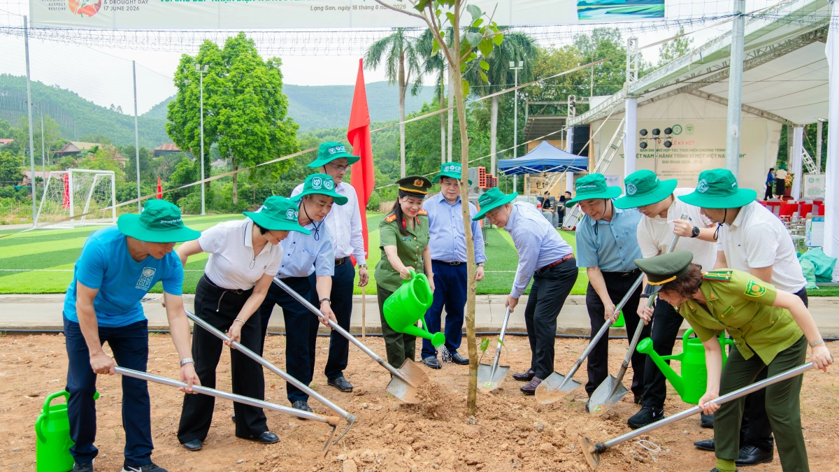 C.P. Việt Nam đặt mục tiêu trồng thêm 1,5 triệu cây xanh