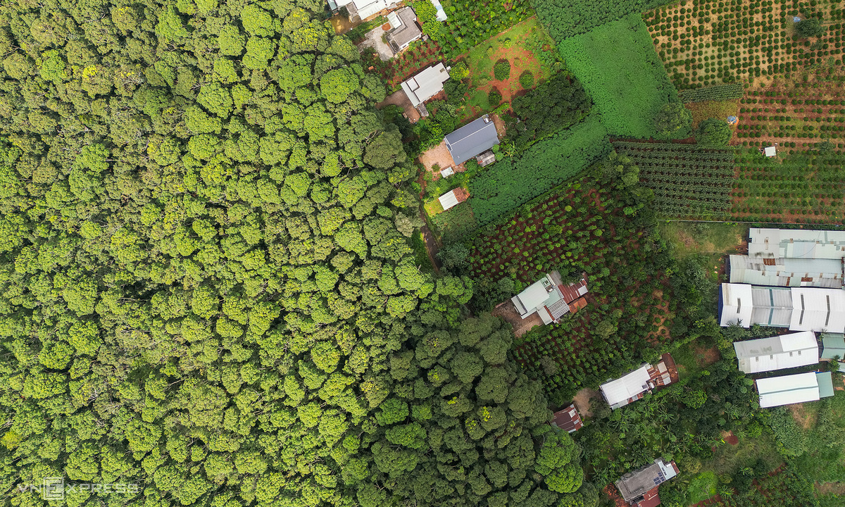 Việt Nam thu 56,5 triệu USD từ bán tín chỉ carbon cho World Bank
