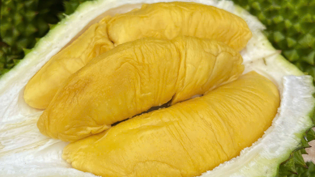 Sầu riêng Musang King rẻ chưa từng có