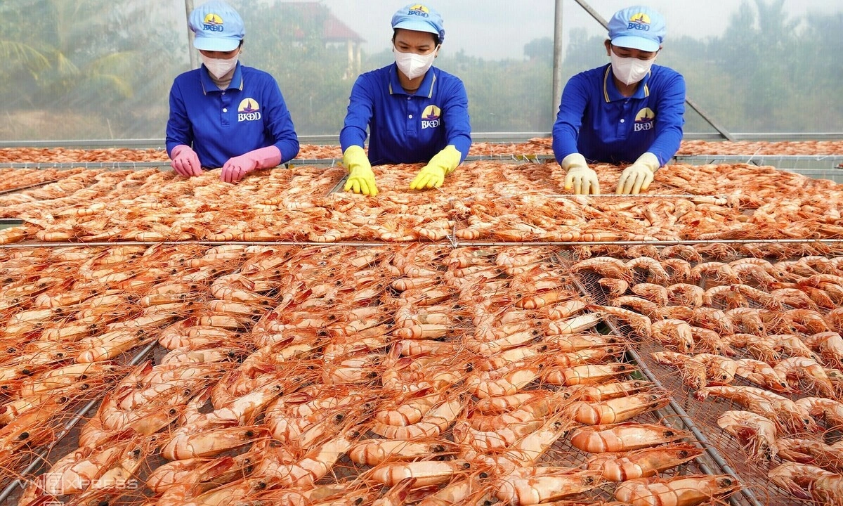 Thủy sản Việt Nam đối mặt sức ép từ chính sách thuế mới của Mỹ