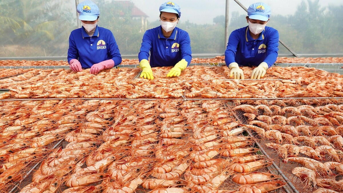 Thuế mới của Mỹ tạo thêm sức ép lên thủy sản Việt