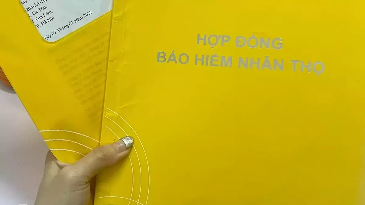 Các hãng bảo hiểm lãi tăng mạnh nhờ hoạt động tài chính