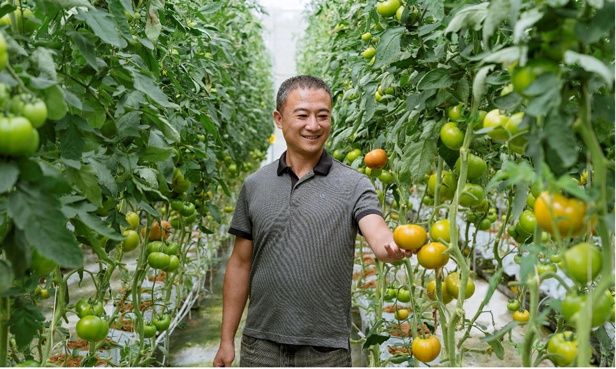 BIDV hỗ trợ người dân vay vốn lưu động với lãi suất ưu đãi